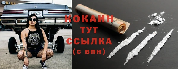 apvp Верея