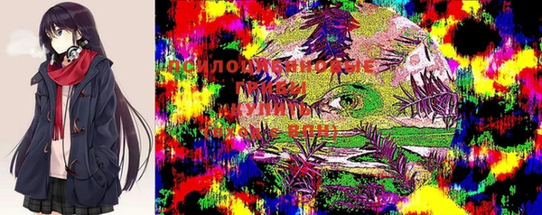 mix Верхний Тагил