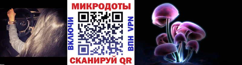 Псилоцибиновые грибы прущие грибы  сколько стоит  Гвардейск 